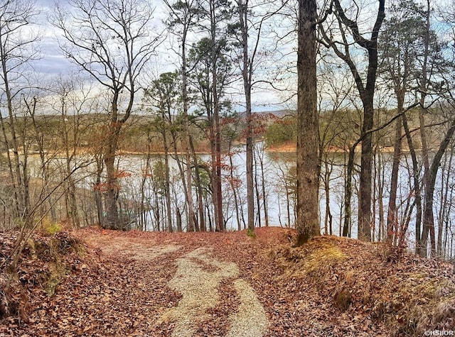 208 Avonshire Ter, Hot Springs, AR 71913 - photo 4
