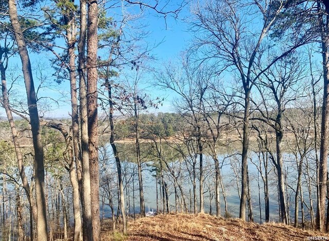 208 Avonshire Ter, Hot Springs, AR 71913 - photo 20