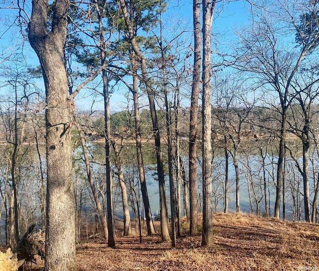 208 Avonshire Ter, Hot Springs, AR 71913 - photo 21