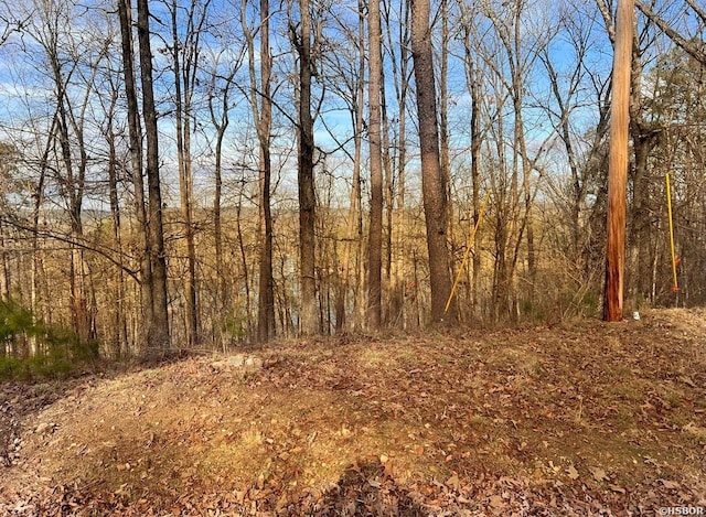 208 Avonshire Ter, Hot Springs, AR 71913 - photo 11
