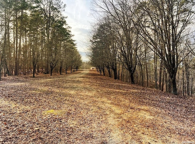208 Avonshire Ter, Hot Springs, AR 71913 - photo 7