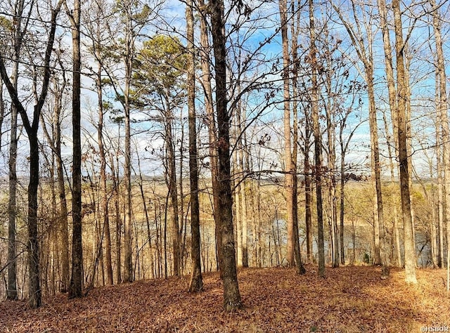 208 Avonshire Ter, Hot Springs, AR 71913 - photo 14