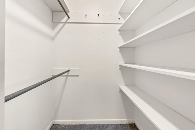 spacious closet featuring carpet