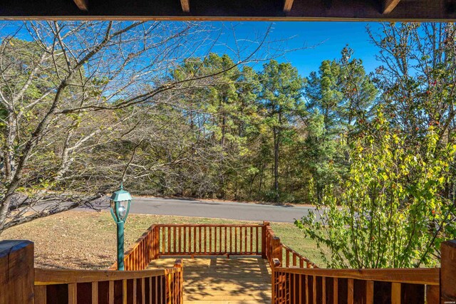 104 Davidson Dr, Hot Springs, AR 71901 - photo 45