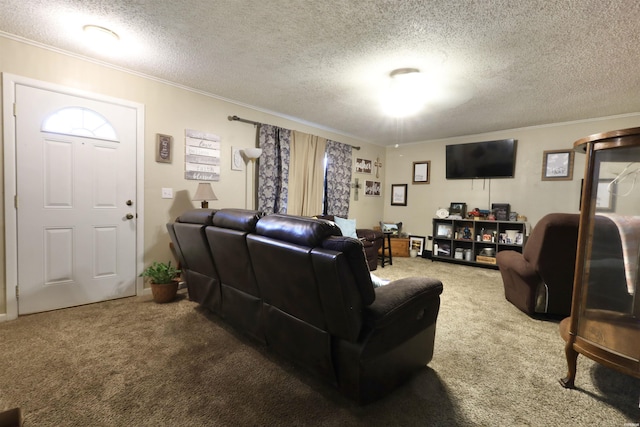 carpeted living room with ornamental molding and a textured ceiling