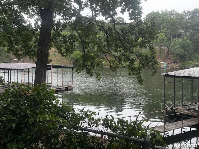 dock area with a water view