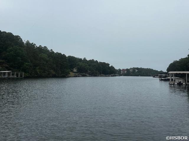 water view with a forest view