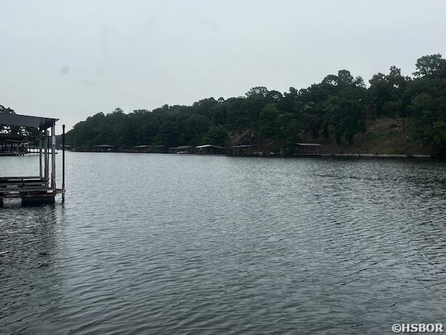 water view with a dock and a view of trees