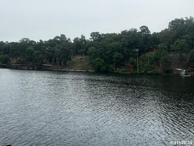 property view of water with a forest view