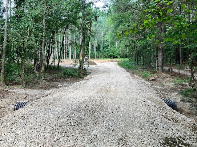  - photo 3