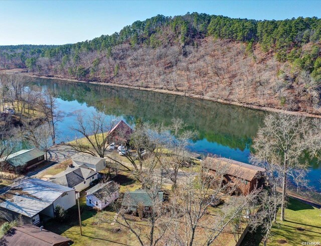 water view featuring a view of trees