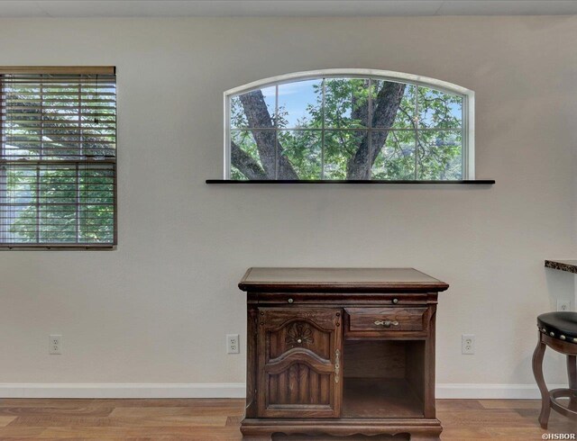 details featuring baseboards and wood finished floors