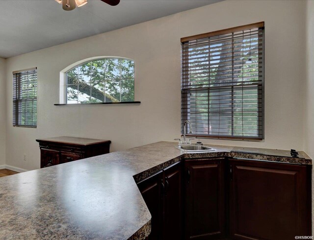 kitchen with baseboards, a ceiling fan, dark countertops, dark brown cabinets, and a sink