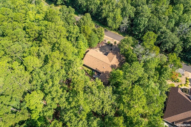 13 Campeon Ln, Hot Springs Village, AR 71909 - photo 35