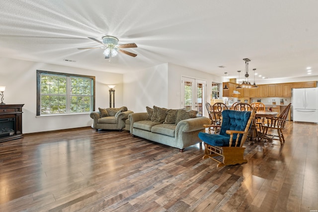 539 Charlie Stover Rd, Royal, AR 71968 - living room featuring healthy amount of natural light, wood finished floors, ceiling fan, and a glass covered fireplace