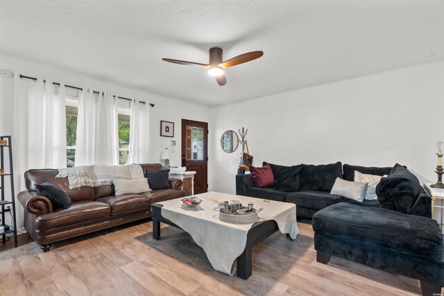 living area with ceiling fan, a textured ceiling, and light wood-style floors