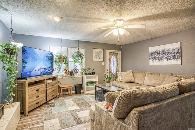 living room with ceiling fan, light wood-style flooring, and a textured ceiling