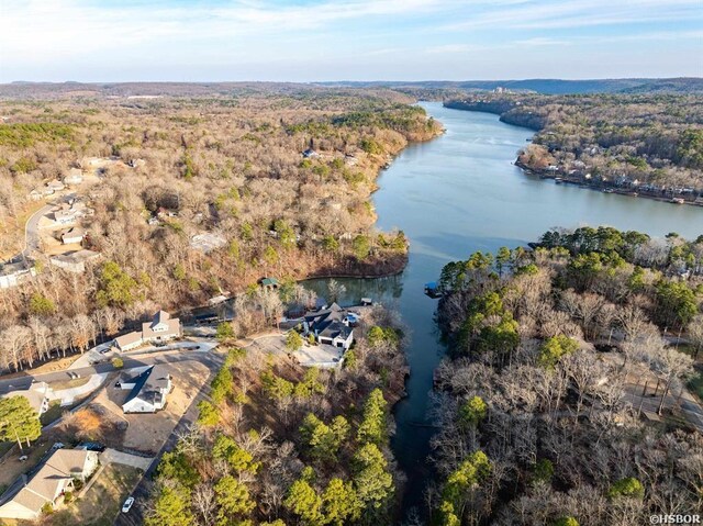 bird's eye view with a forest view and a water view