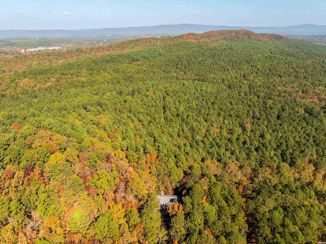 bird's eye view featuring a mountain view and a forest view