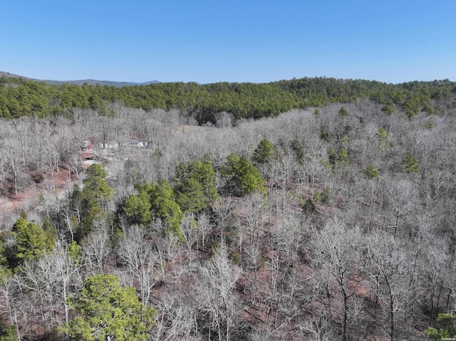 Listing photo 2 for 000 Cavanaugh Rd, Royal AR 71968