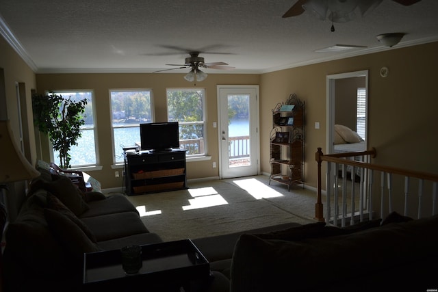 living room featuring a ceiling fan, carpet, crown molding, and a textured ceiling