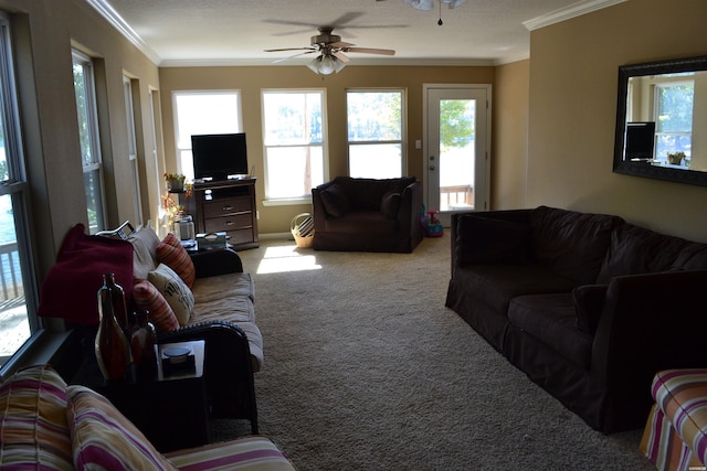 living area featuring light carpet, ceiling fan, and crown molding