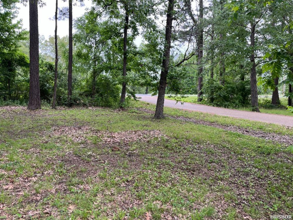 TBD Lee, Fordyce, AR 71742