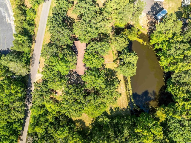 124 Primrose Ln, Pearcy, AR 71964 - aerial view of a large body of water