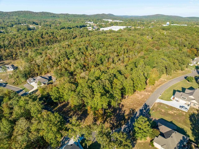 LOTS45 Windsong Bay Dr, Hot Springs, AR 71901 - photo 6