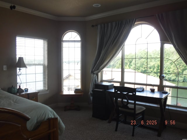 620 Grand Point Dr Unit 24B, Hot Springs, AR 71901 - photo 16