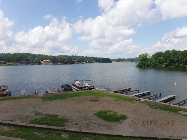 620 Grand Point Dr Unit 24B, Hot Springs, AR 71901 - photo 40