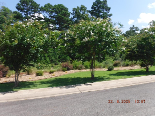 620 Grand Point Dr Unit 24B, Hot Springs, AR 71901 - photo 39
