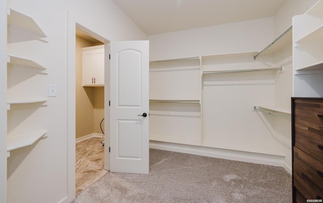 spacious closet featuring light carpet