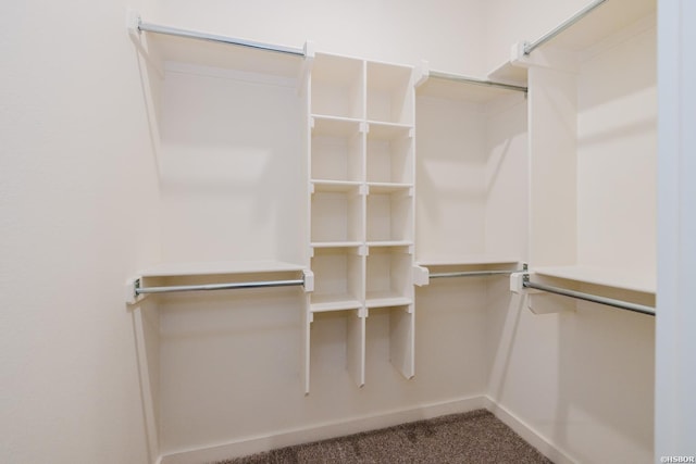 walk in closet featuring carpet flooring