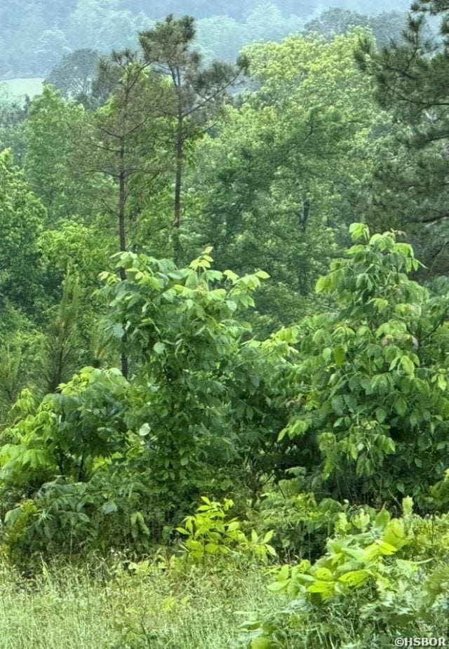 380 Angel, Amity, AR 71921
