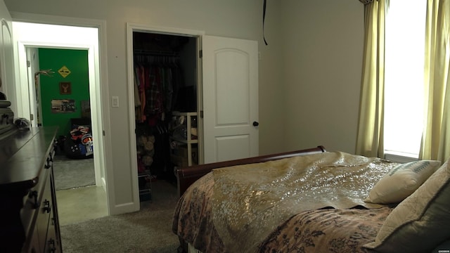 197 Country View Trl, Pearcy, AR 71964 - carpeted bedroom with a closet