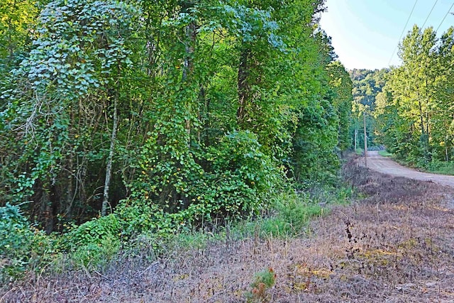 Listing photo 3 for 000 Cross Creek Rd, Mount Ida AR 71957