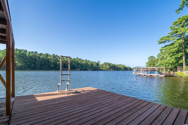 240 Lake Harbor Cir, Hot Springs, AR 71913 - photo 38