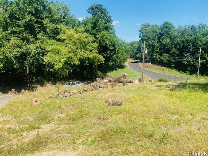 207 Robin St, Hot Springs, AR 71901 - photo 3