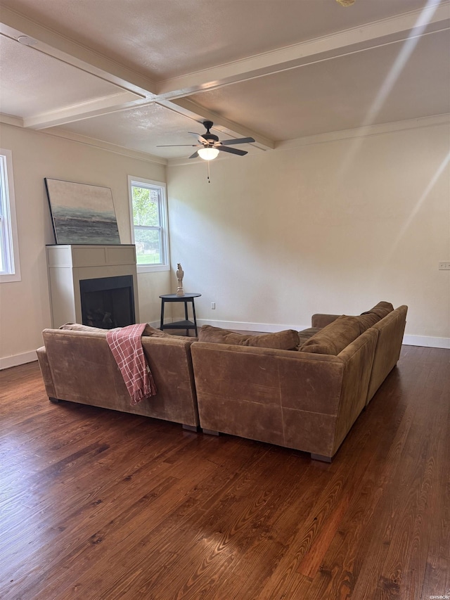 301 Walter St, Hot Springs, AR 71901 - photo 6