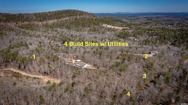 drone / aerial view with a mountain view and a wooded view