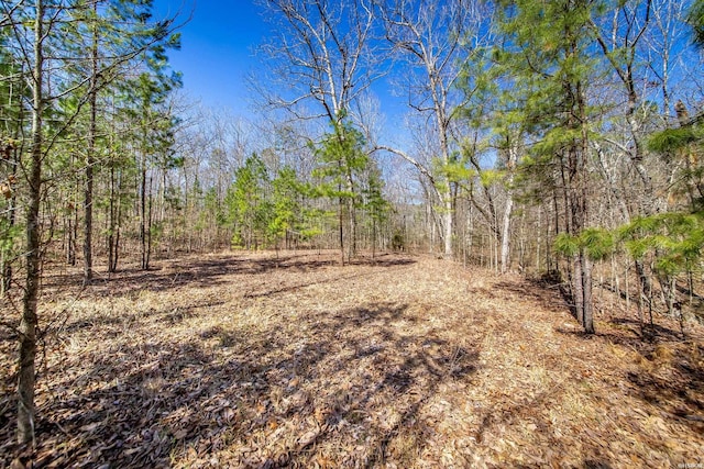 view of nature featuring a forest view