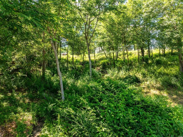 XX Woody Creek, Hot Springs, AR 71913 - photo 16