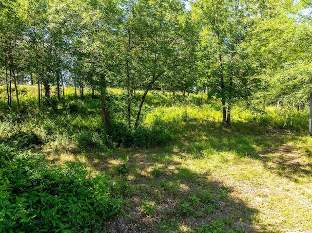 XX Woody Creek, Hot Springs, AR 71913 - photo 17