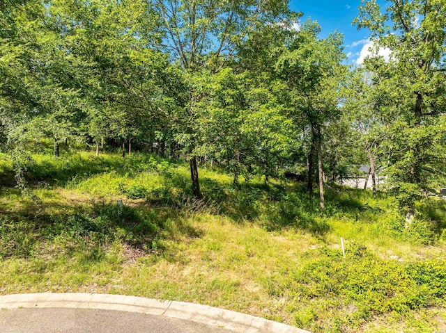 XX Woody Creek, Hot Springs, AR 71913 - photo 18