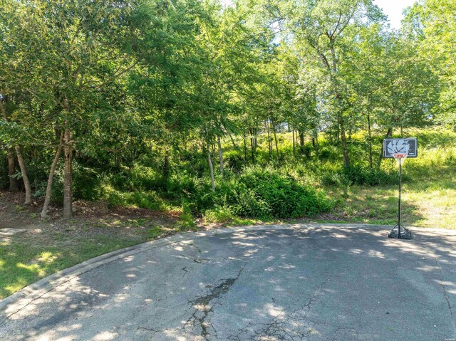 XX Woody Creek, Hot Springs, AR 71913 - photo 15
