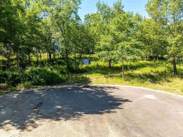 XX Woody Creek, Hot Springs, AR 71913 - photo 14
