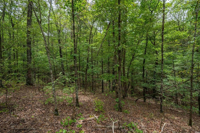 LOT2 Eagles Nest Ln, Malvern, AR 72104