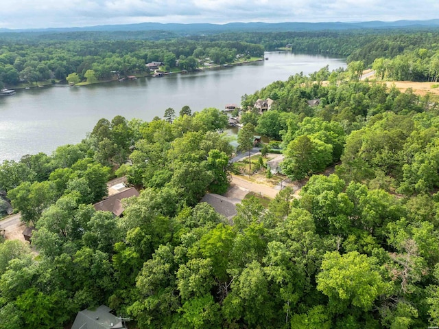 378 Arrowhead Dr, Hot Springs, AR 71913 - photo 48