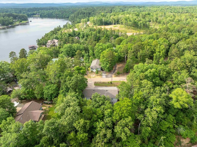 378 Arrowhead Dr, Hot Springs, AR 71913 - photo 49